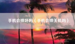 手机会摔坏吗（手机会摔关机吗）