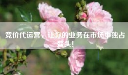 竞价代运营，让你的业务在市场中独占鳌头！
