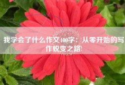 我学会了什么作文400字：从零开始的写作蜕变之路!