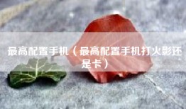 最高配置手机（最高配置手机打火影还是卡）