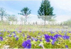 手机赚钱视频（赚钱视频软件）