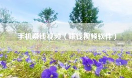 手机赚钱视频（赚钱视频软件）