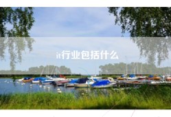 it行业包括什么