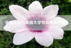 中国大学与美国大学究竟有何区别？