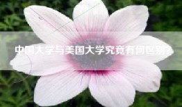 中国大学与美国大学究竟有何区别？