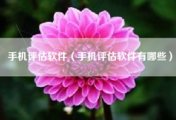 手机评估软件（手机评估软件有哪些）