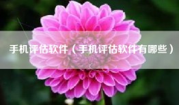 手机评估软件（手机评估软件有哪些）