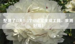 整理了13天！5个AI论文生成工具，亲测好用！