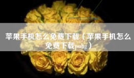 苹果手机怎么免费下载（苹果手机怎么免费下载pubg）