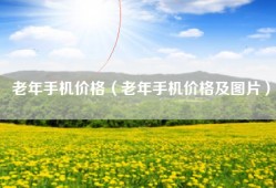 老年手机价格（老年手机价格及图片）