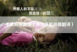 手机拍照翻译（华为手机拍照翻译）