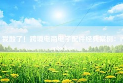 我酸了！跨境电商电子配件经典案例：PopSockets