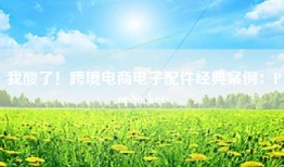 我酸了！跨境电商电子配件经典案例：PopSockets