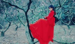李子柒是谁个人资料 李子柒父母怎么去世的？李子柒家在哪是富二代吗