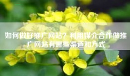 如何做好推广网站？利用媒介合作做推广网站有哪些渠道和方式