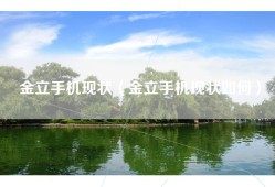 金立手机现状（金立手机现状如何）