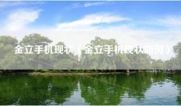 金立手机现状（金立手机现状如何）
