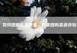 如何团购机票便宜，机票团购渠道你知道吗