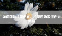 如何团购机票便宜，机票团购渠道你知道吗