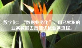 数字化：“数据业务化”，用已累积的业务数据去反哺优化业务流程。