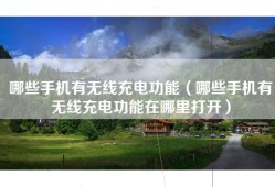 哪些手机有无线充电功能（哪些手机有无线充电功能在哪里打开）