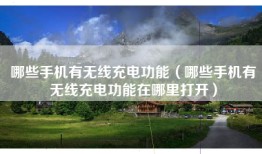 哪些手机有无线充电功能（哪些手机有无线充电功能在哪里打开）