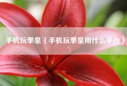 手机玩拳皇（手机玩拳皇用什么平台）