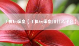 手机玩拳皇（手机玩拳皇用什么平台）