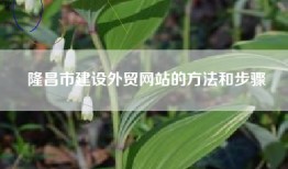隆昌市建设外贸网站的方法和步骤