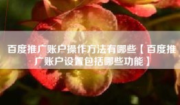 百度推广账户操作方法有哪些【百度推广账户设置包括哪些功能】