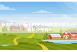 有哪些适合新手创业做的跨境电商平台？要多少预算？
