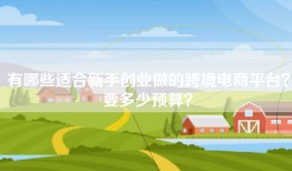 有哪些适合新手创业做的跨境电商平台？要多少预算？