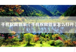 手机权限管家（手机权限管家怎么打开）