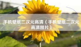 手机壁纸二次元高清（手机壁纸二次元高清图片）