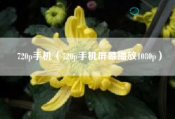 720p手机（720p手机屏幕播放1080p）