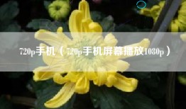 720p手机（720p手机屏幕播放1080p）