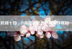 阶段十四、IT高级开发者职场生存规则 － 职业素养