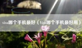 vivo哪个手机最好（Vivo哪个手机最好用）