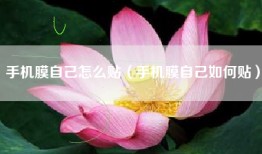 手机膜自己怎么贴（手机膜自己如何贴）