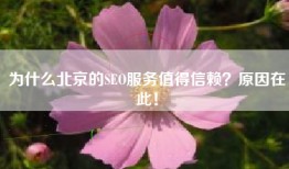 为什么北京的SEO服务值得信赖？原因在此！