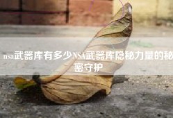 nsa武器库有多少NSA武器库隐秘力量的秘密守护