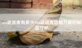 nsa武器库有多少NSA武器库隐秘力量的秘密守护