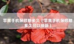 苹果手机保修期多久（苹果手机保修期多久可以换新）