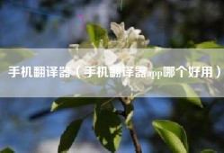 手机翻译器（手机翻译器app哪个好用）