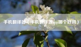 手机翻译器（手机翻译器app哪个好用）