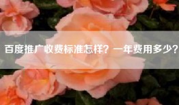 百度推广收费标准怎样？一年费用多少？