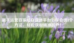新手运营百家号自媒体平台？学会这8个方法，轻松获取精准客户！