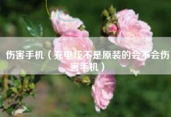 伤害手机（充电线不是原装的会不会伤害手机）