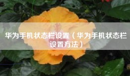 华为手机状态栏设置（华为手机状态栏设置方法）