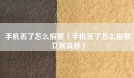 手机丢了怎么报警（手机丢了怎么报警立案流程）
